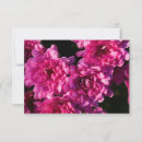 Search for mum to be note cards Autumn