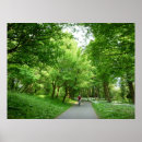 Search for bicycle riding posters Trees