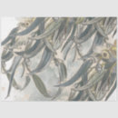 Search for fall leaf tissue paper Eucalyptus