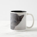 Search for russian blue cat mugs Nature