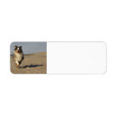 Search for australian shepherd dog return address labels Puppy