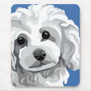 Search for standard poodle electronics Pets