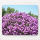 Search for bloom mousepads Texas