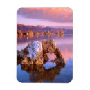 Search for 3x4 cards Bright