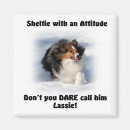 Search for sheltie magnets Collie