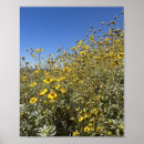Search for desert landscape posters Trendy