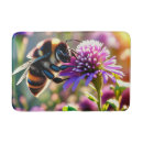 Search for pollinators Nectar