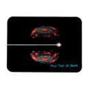 Search for radiator magnets Physics