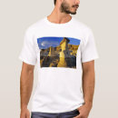 Search for hoodoo tshirts North america