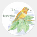 Search for watercolor hummingbird stickers Nature