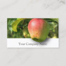 Search for apple orchard White