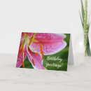 Search for stargazer lily birthday cards Flower