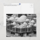 Search for kosovo postcards Pristina