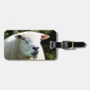 Search for ram accessories Cute