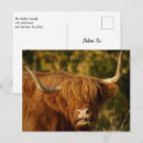 Search for scottish postcards Farm
