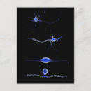 Search for neuron postcards Science