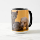 Search for puppy kitten mugs Cat