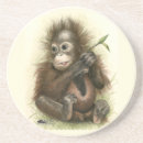 Search for primates coasters Orangutan