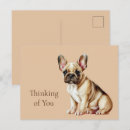 Search for frenchie postcards Animals