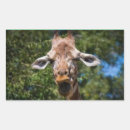 Search for funny faces meme stickers Humour