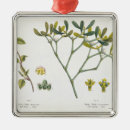 Search for birch christmas tree decorations Trees