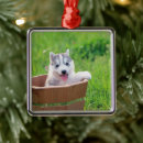 Search for siberian christmas tree decorations Puppy