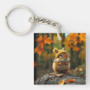 Search for chipmunk key rings Forest