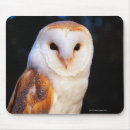 Search for barn owl mousepads Nature