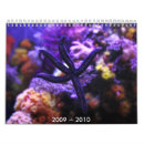 Search for fish calendars Sealife