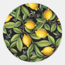 Search for amalfi coast italy stickers Lemon