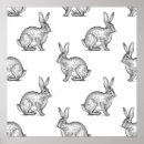 Search for black and white forest posters Rabbit
