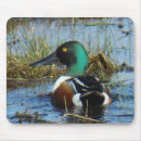 Search for drake electronics Waterfowl