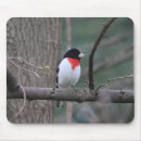 Search for birders mousepads Birds