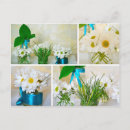 Search for colours of spring postcards White