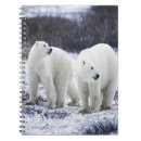 Search for polar bear notebooks Nature