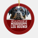 Search for hound dog christmas tree decorations Dogs