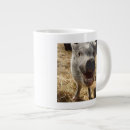 Search for happy pig mugs Pigs