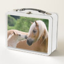 Search for horse lunch boxes Foal