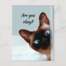 Search for friend me postcards Funny