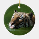 Search for bengal cat christmas tree decorations Tiger