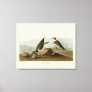Search for ring canvas prints Lithograph