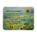 Search for sunflower designs Sunny