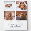 Search for photo pet memorials Sympathy