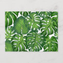 Search for leaves pattern postcards Leaf
