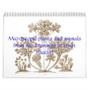 Search for forms office supplies Haeckel