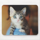 Search for blue eyed electronics Baby animals