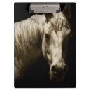 Search for clip photography Animal