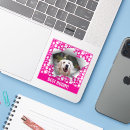 Search for cute faces stickers Dog lover