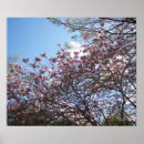 Search for spring blossoms posters Florals