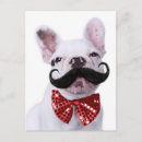 Search for moustached postcards Puppy